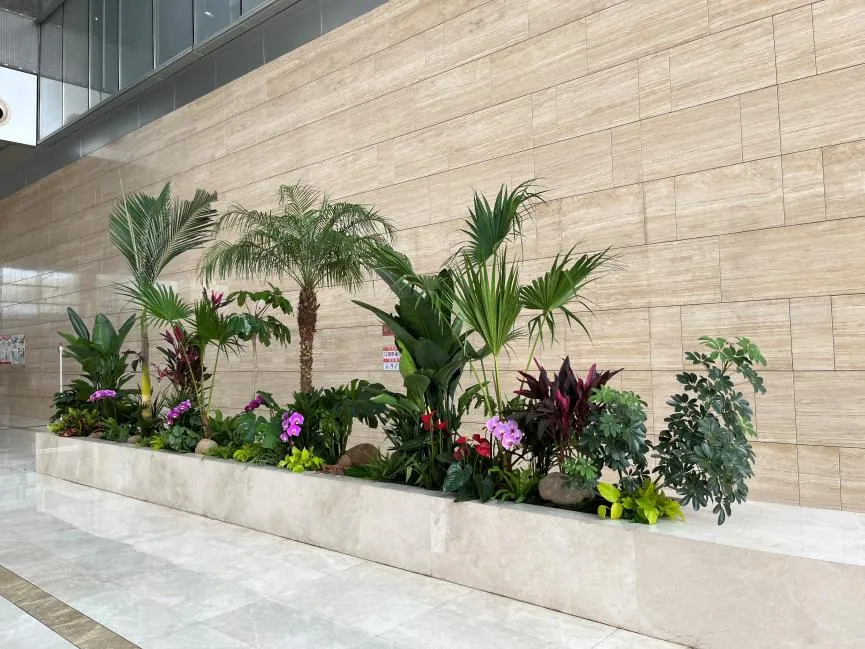 领略宁波余姚花卉租摆设计，装点多彩生活空间