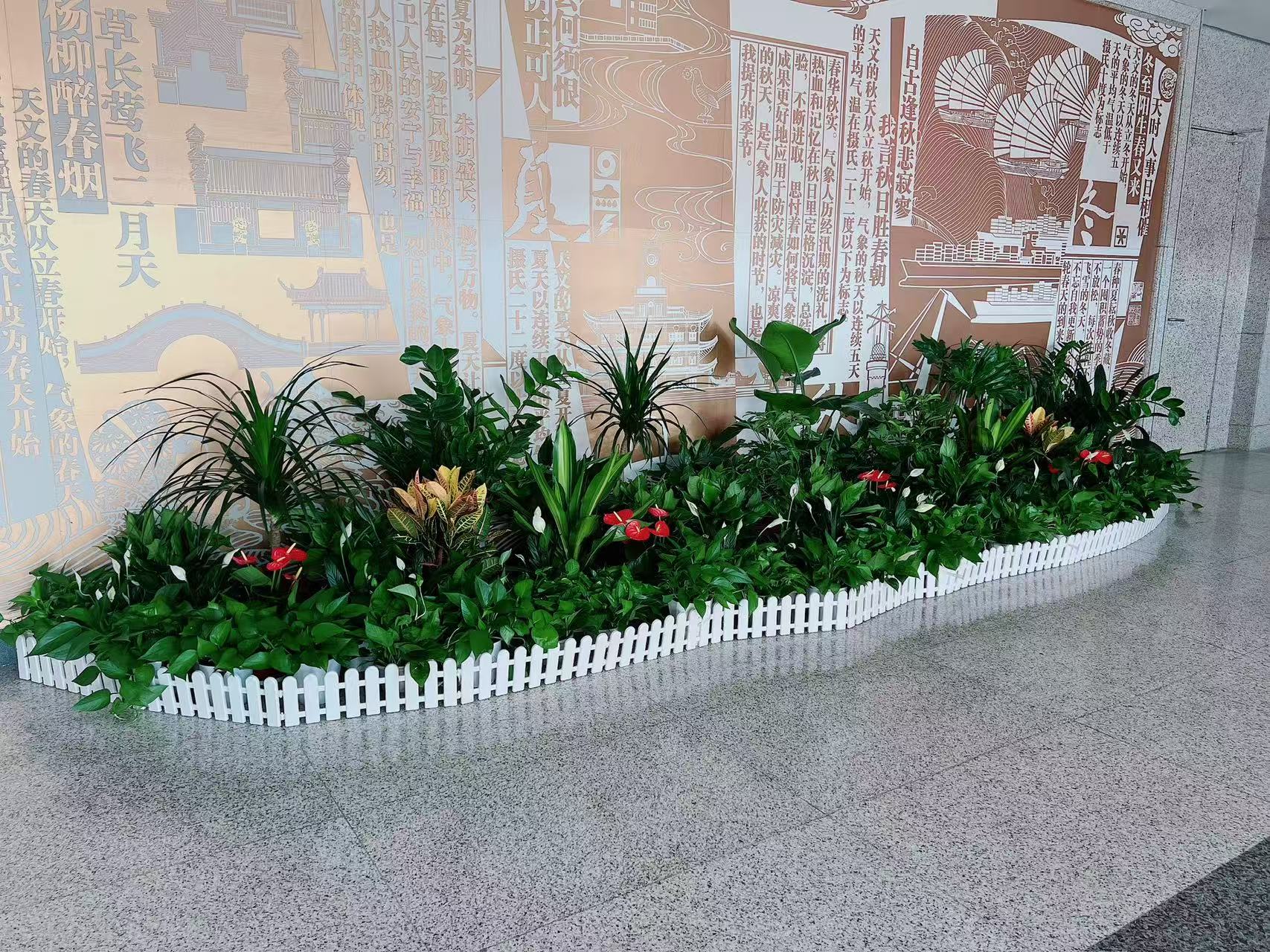 北仑花卉租赁服务好 北仑花卉租赁服务好